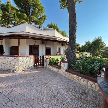 Villaggio Elisena Vieste Exteriör bild